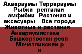 Аквариумы.Террариумы.Рыбки, рептилии, амфибии. Растения и аксесуары - Все города Животные и растения » Аквариумистика   . Башкортостан респ.,Мечетлинский р-н